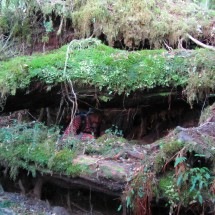 Carretera Austral